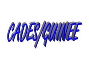 AVIS DE RECRUTEMENT DE COMPTABLE DU PROJET GUINÈYA